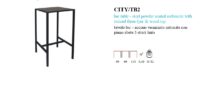 CITY/TB2 60x60x110 bar table - steel powder coated anthracite, stained plywood fir top tavolo bar - acciaio verniciato antracite, piano in multistrato di abete tinto